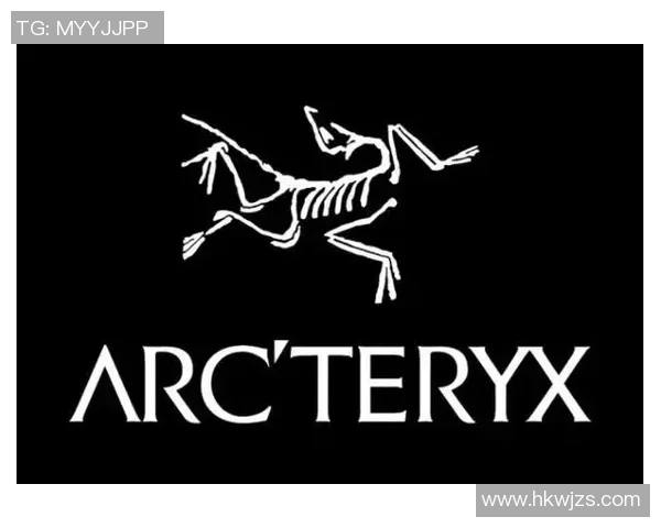 全球知名体育运动品牌排名分析及其市场影响力探讨